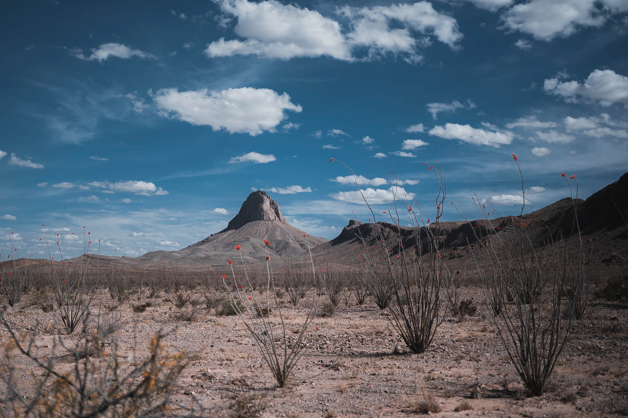 Galería cerros de Chihuahua 14
